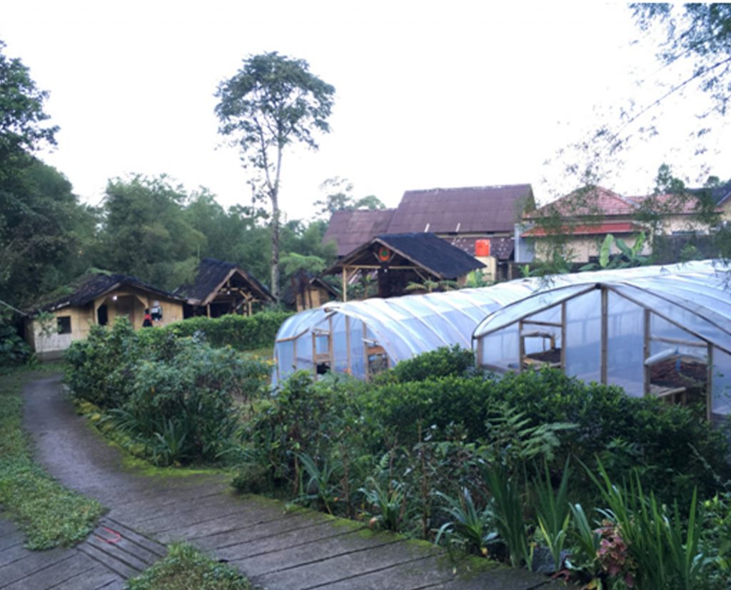 Gungung Puntang Coffee Shelter. 