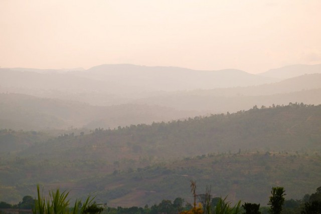 Burundi Turaco - El Magnífico