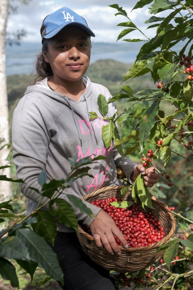 Nicaragua Las Delicias - El Magnífico