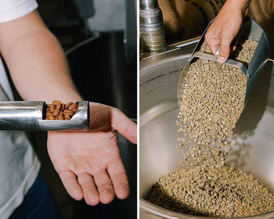 Cómo comprar café en grano | Cafés El Magnífico