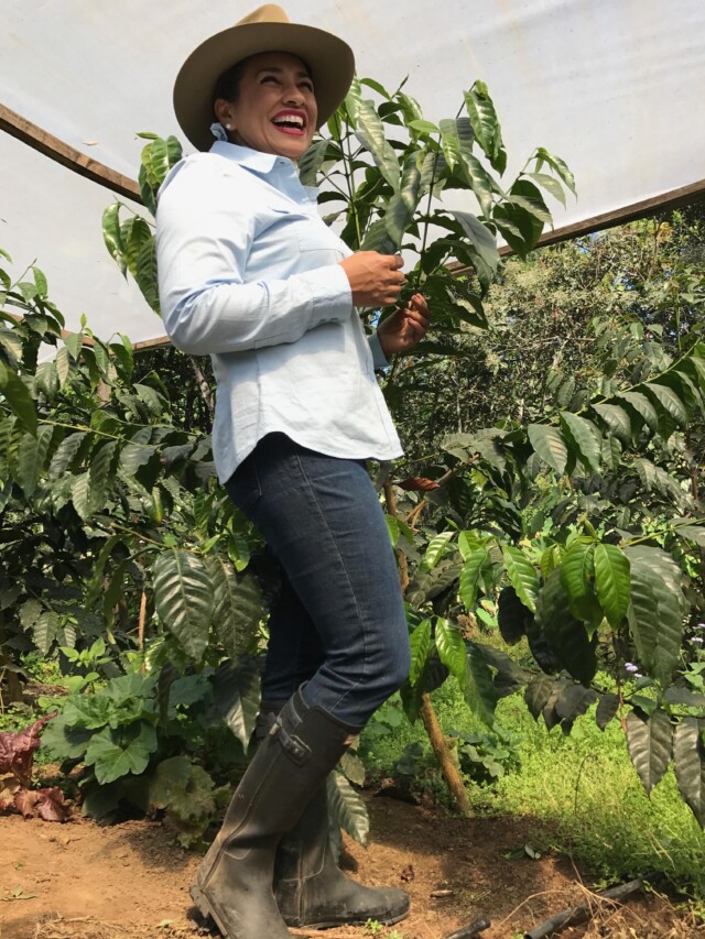 Honduras el Puente - El Magnífico