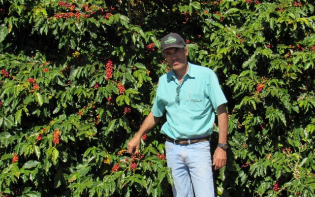 Brasil Fazenda Passeio - El Magnífico