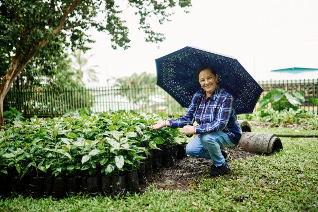 Costa Rica La Florcita - El Magnífico