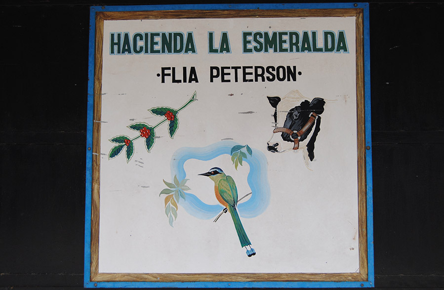 Hacienda La Esmeralda | Cafés El Magnífico