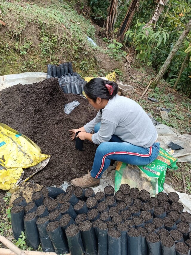 México El Plan y Don Benja - El Magnífico