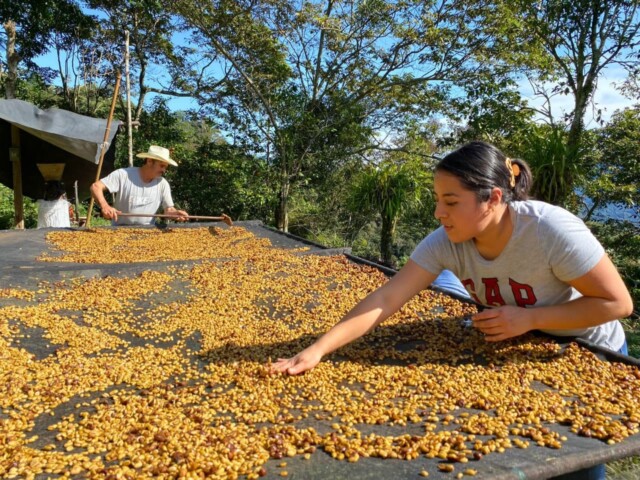México El Plan y Don Benja - El Magnífico