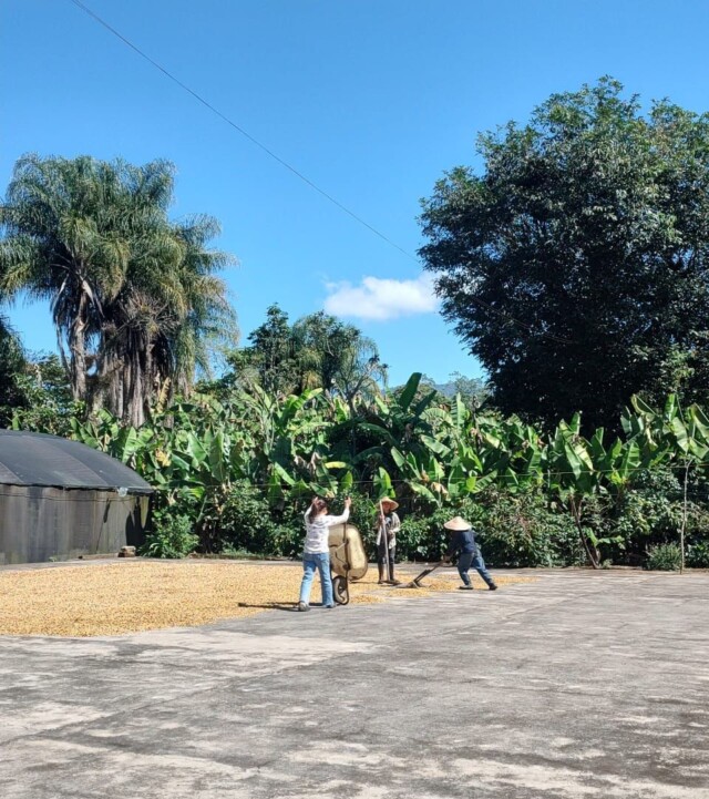 México El Plan y Don Benja - El Magnífico