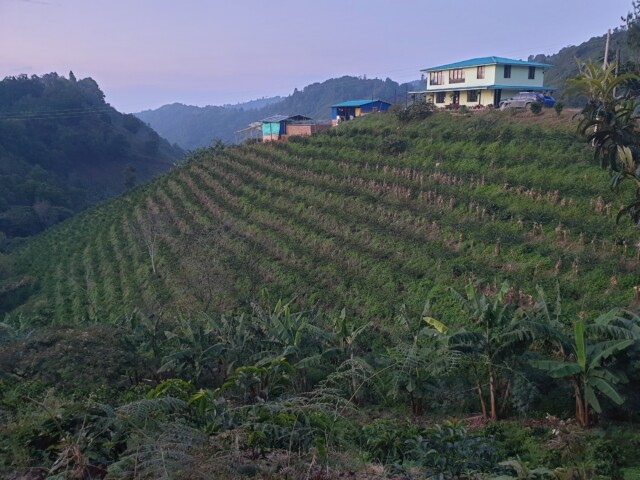Colombia La Macarena - El Magnífico