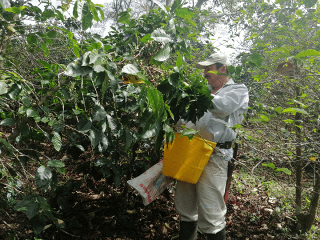 Colombia el Paraiso - El Magnífico