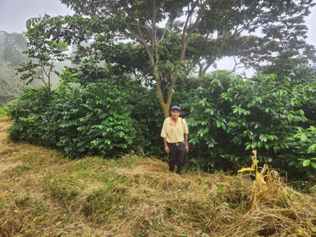 El Salvador Miramar - El Magnífico