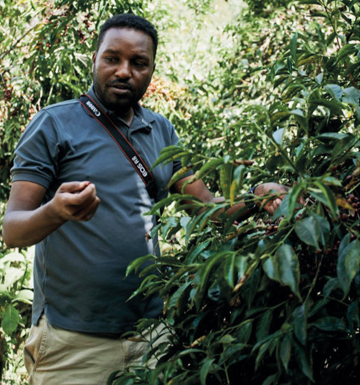 Regalar café de origen MagMax | Cafés El Magnífico