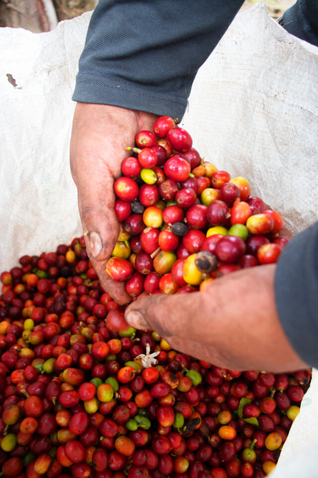Colombia Casa Negra - El Magnífico