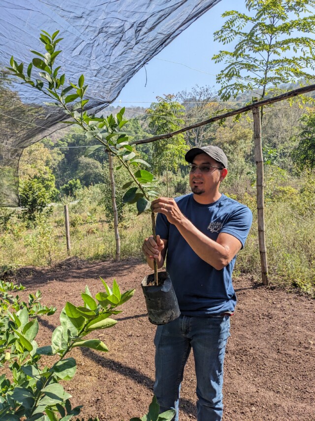 Guatemala Vista Hermosa - El Magnífico