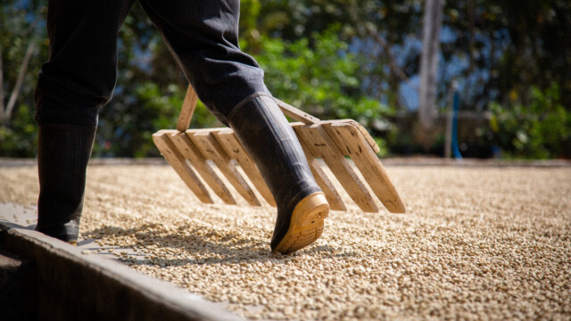 Guatemala Vista Hermosa - El Magnífico