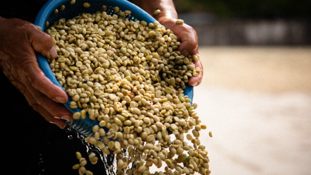 Guatemala Vista Hermosa - El Magnífico