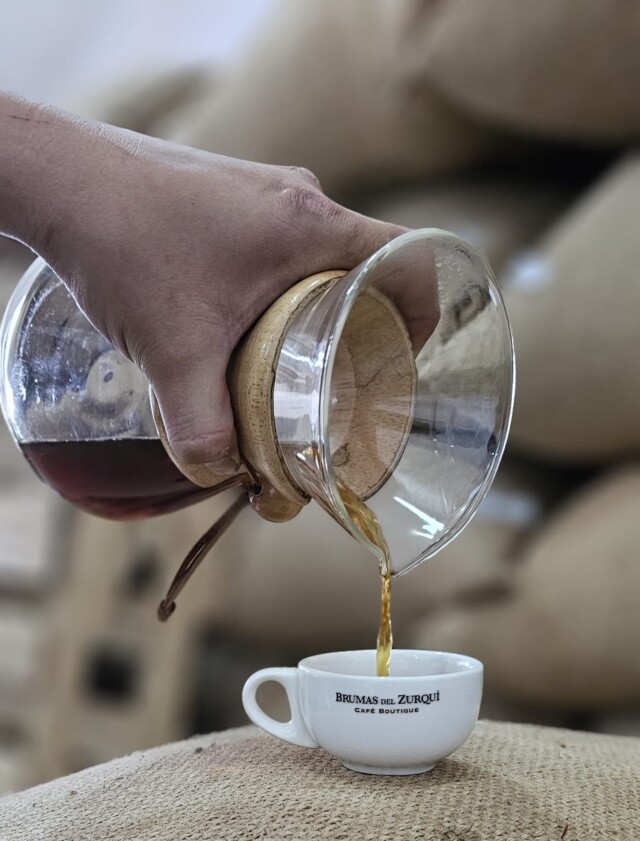 Costa Rica Brumas del Zurquí - El Magnífico