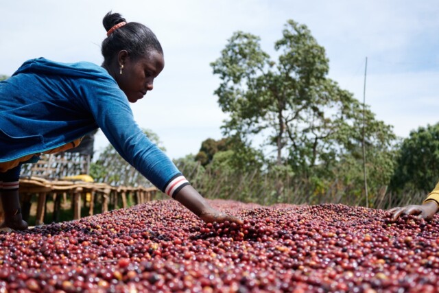 Etiopía Esayas Beriso - El Magnífico