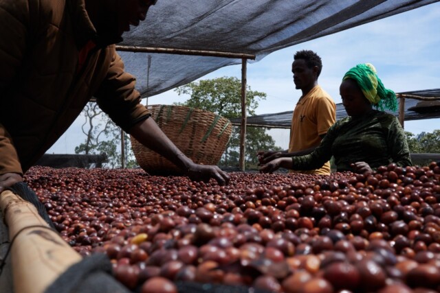 Etiopía Esayas Beriso - El Magnífico