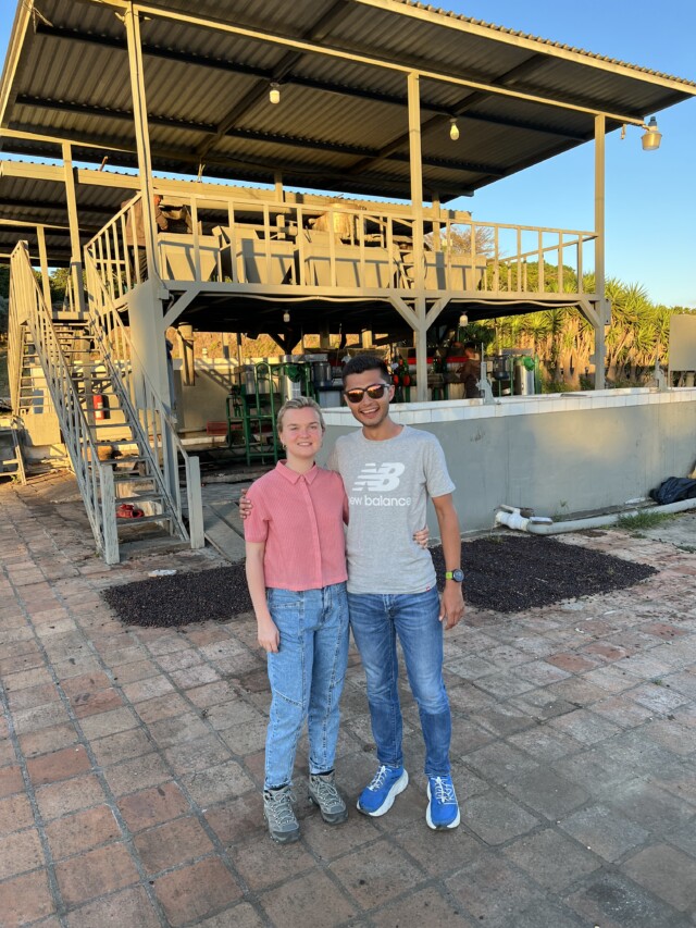 El Salvador Los Pirineos Bourbon Élite - El Magnífico