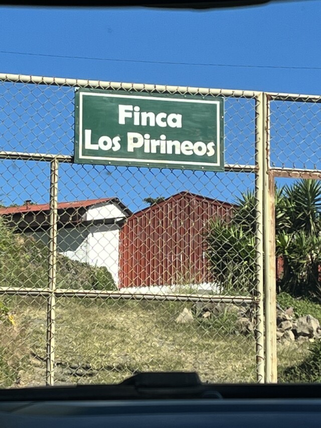 El Salvador Los Pirineos Bourbon Élite - El Magnífico