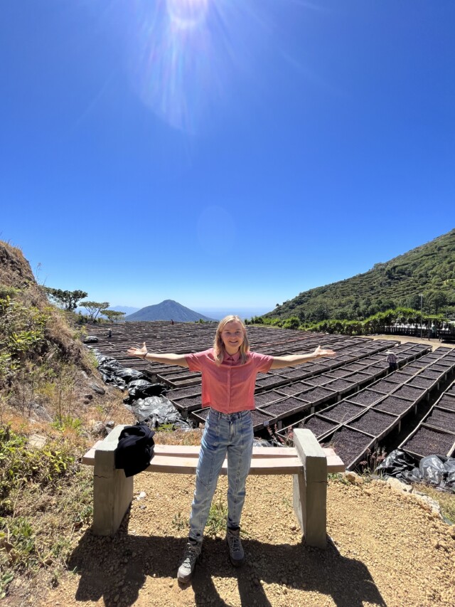 El Salvador Los Pirineos Bourbon Élite - El Magnífico