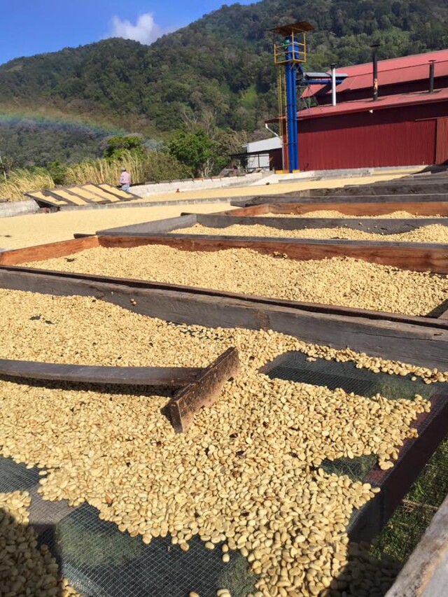 Panamá Carmen Estate - El Magnífico