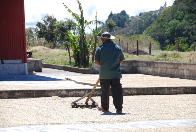 Panamá Carmen Estate - El Magnífico