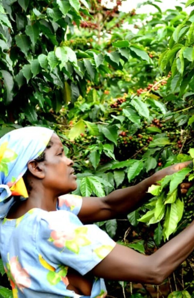 Ruanda Women - El Magnífico