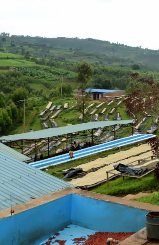 Ruanda Women - El Magnífico