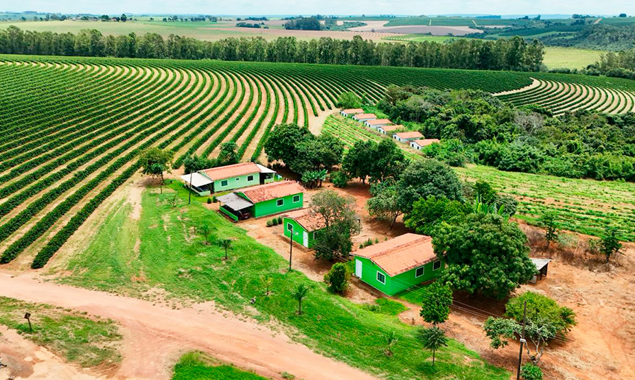 Café de Cerrado Mineiro | Cafés El Magnífico