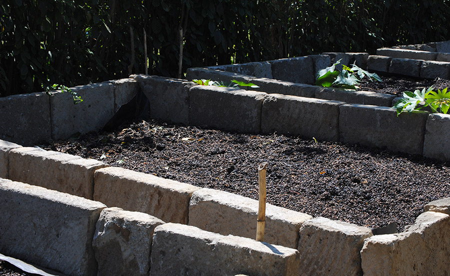 El cafetal y su entorno natural | Cafés El Magnífico
