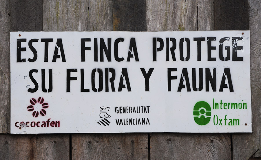 El cafetal y su entorno natural - Coffee plantation | Cafés El Magnífico