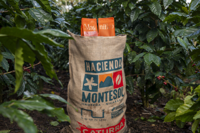 Nicaragua Montesol - El Magnífico