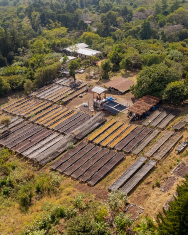El Salvador Las Brisas - El Magnífico