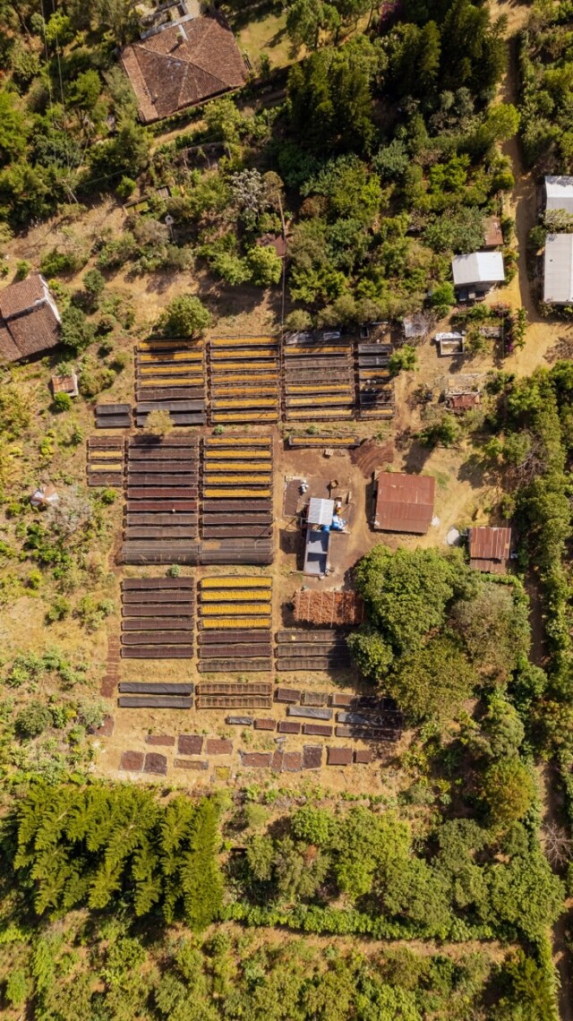 El Salvador Las Brisas - El Magnífico