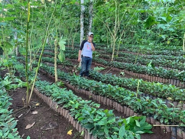 Nicaragua La Venus - El Magnífico