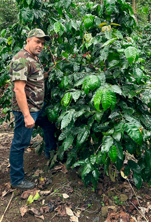 Maximo Odon, de la Finca Venus a Nicaragua davant una plantació de Maragojipe
