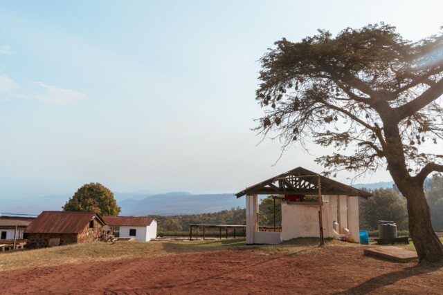 Tanzania Acacia Hills - El Magnífico