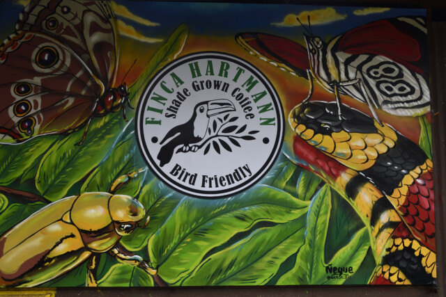 Panamá Hartmann - El Magnífico