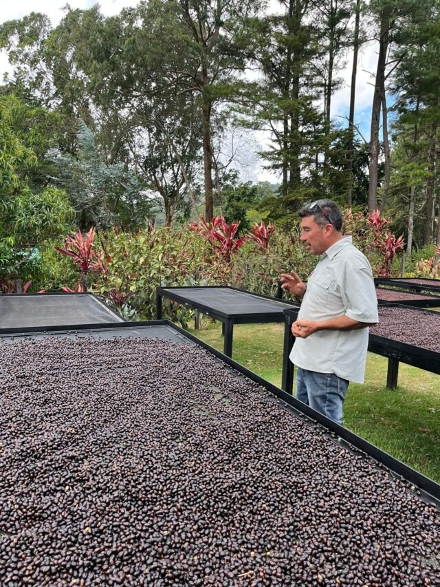 Panamá Mi Finquita – Lote 111 - El Magnífico